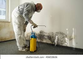 Best Mold Damage Restoration in Herald Harbor, MD